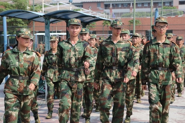 (图片1)